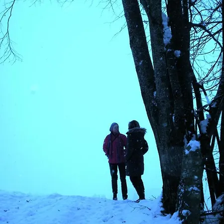 팜스테이 Hof Wieser *