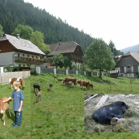 Hof Wieser Farm stay