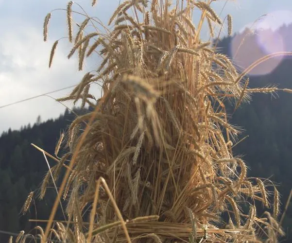Gospodarstwo agroturystyczne Hof Wieser Patergassen