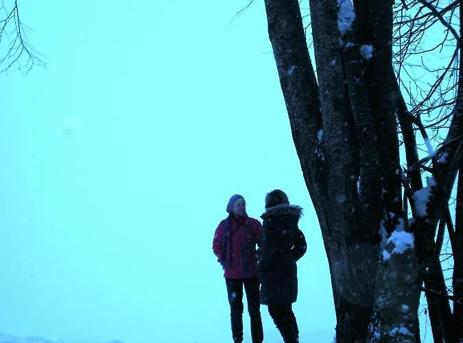 Gospodarstwo agroturystyczne Hof Wieser *