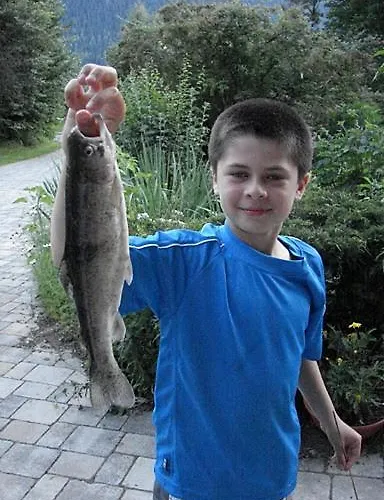 Hof Wieser Bauernhof *