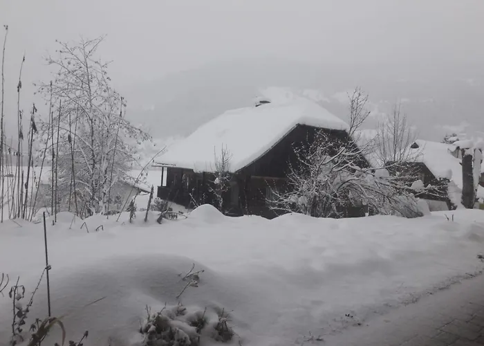 Bauernhof Hof Wieser *