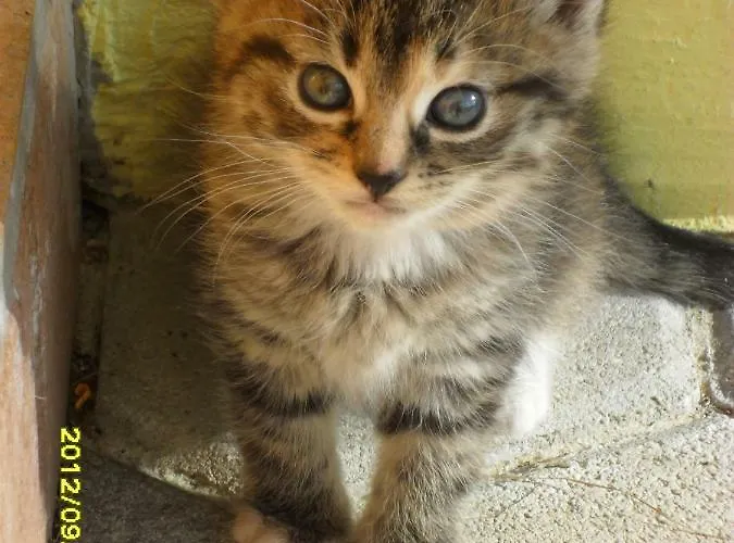 Hof Wieser Gospodarstwo agroturystyczne